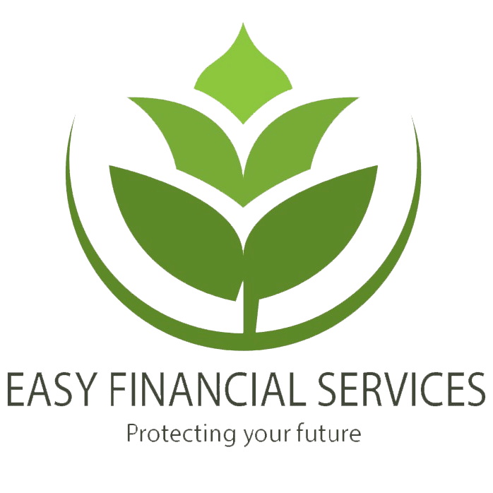 Easy Financial Services Logo