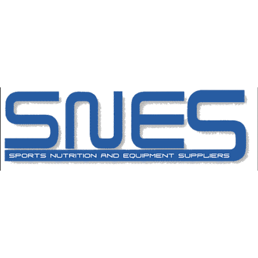 SNES Logo