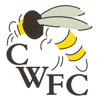 Chalfont Wasps Logo