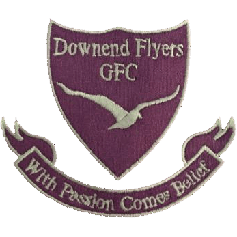Downend Flyers Logo