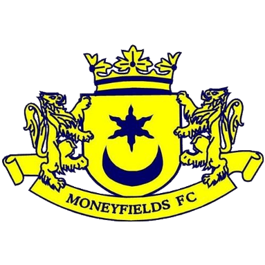 Moneyfields Logo
