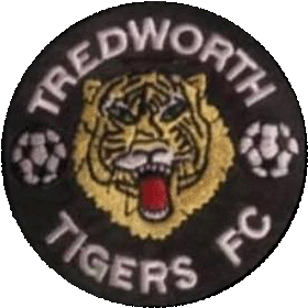 Tredworth Tigers Logo